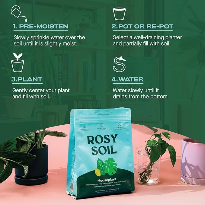 Rosy Soil Indoor Potting Soil for House Plants - Organic Potting Soil Mix for Indoor Plants - Enriched w/Root-Boosting Biochar for Foliage Plants, Flowers, Herbs - Peat Free, Less Prone to Gnats - 4qt - Bloomnest