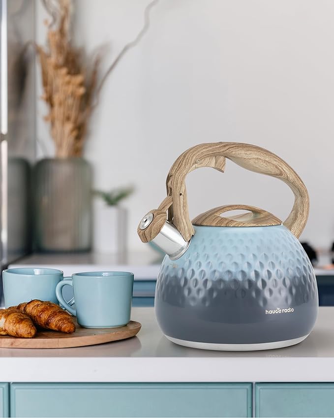 Tea Kettle, Loud Whistle Tea Kettles for Stovetop,Food Grade Stainless Steel Tea kettles for Stove Top with Anti-hot Ergonomic Handlefor Tea, Coffee, Milk,2.5QT - Bloomnest