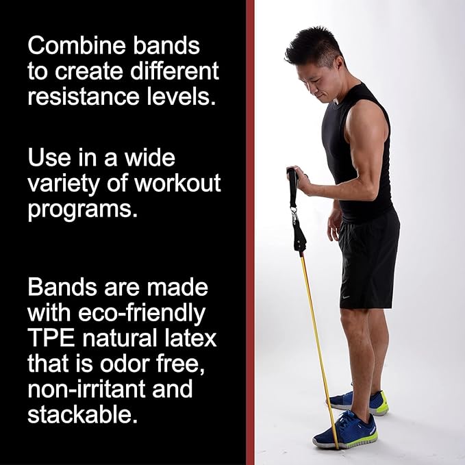 BodyForge Resistance Bands, Exercise Bands, Resistance Bands for Working Out, Work Out Bands with Handles for Men and Women Fitness, Strength Training Home Gym Equipment