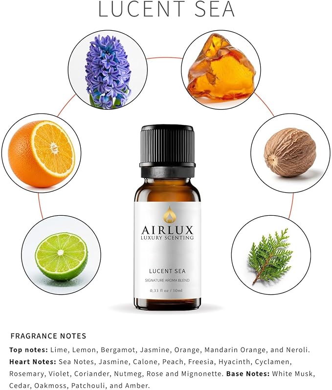 Signature Aroma Oil No. 4 Lucent Sea – Aroma Oil for Cold Air & Waterless Diffusers and DIY Crafts – 10 mL, 0.34 fl oz Glass Bottle Airlux