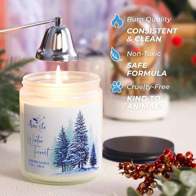 Winter Candle Set | 6 Pack Christmas Scented Candles for Home - Holiday Soy Candle Gift Set for Women Men, Winter Decor, Aromatherapy Candles Scents of Hello Winter/Forest/Cider/Warm/Fireside/Bonfire - Bloomnest