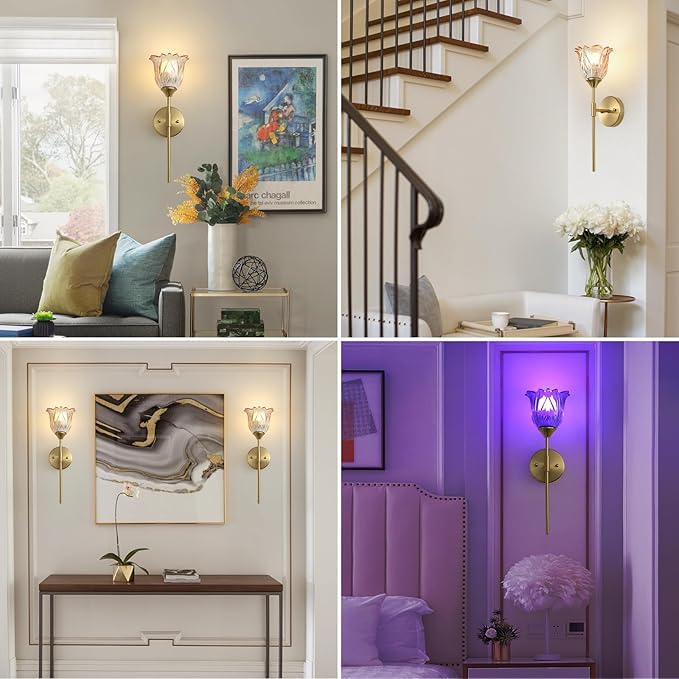 2 Pack Battery Operated Wall Sconce with Amber Glass Lampshade, Mid Century Bathroom Vanity, Wireless Rechargeable RGB Wall Light with Remote Control, for Bedroom Mirror Living Room - Bloomnest