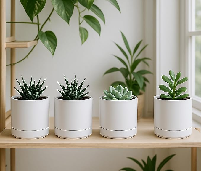 D'vine Dev Set of 4 Small Ceramic Plant Pots, 4.7 Inch Succulent Planter Pot for Plants with Drainage Hole and Saucer, White, 94-X-B-1 - Bloomnest