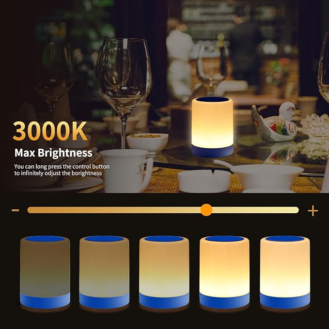 OORUN Touch Bedside Table Lamp,13 RGB Colors & 5 Brightness, USB Rechargeable Desk Lamp, Remote Control Dimmable Night Light with RGB Color Changing,Portable Lamp for Baby, Bedroom, Living Room (Blue) - Bloomnest