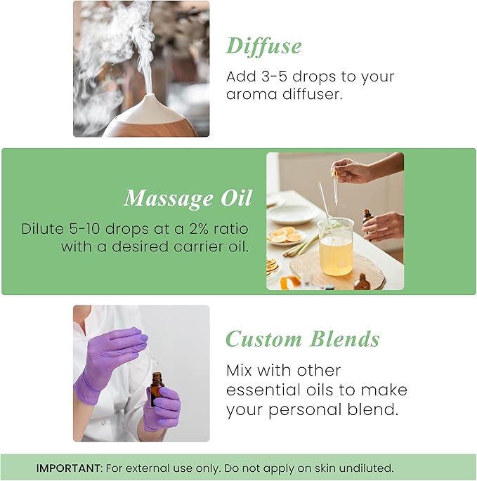 Handcraft Blends Basil Essential Oil – 1 Fl Oz – 100% Pure and Natural – Premium Grade Essential Oil for Diffuser and Aromatherapy, Skin, Massage, Candle and Soap Making Fragrance - Bloomnest