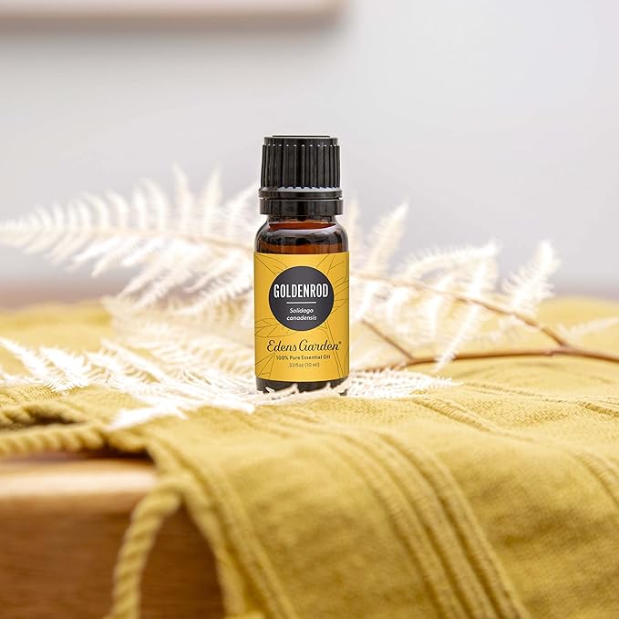 Edens Garden Goldenrod Essential Oil- 100% Pure Premium Grade, Undiluted, Natural, Therapeutic, Aromatherapy, The Best for Diffuser, Skin, Face, Humidifiers 30 ml (1 fl oz) - Bloomnest