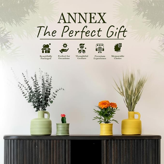 Scented Luxury Candles Outdoor Mosquito Bug Repellent Ceramic Jars, Soy Wax | The Green Life, Large Natural Candle - Green Melon & Peppermint | Non Toxic, 2 Wicks, Reusable Jar - Bloomnest