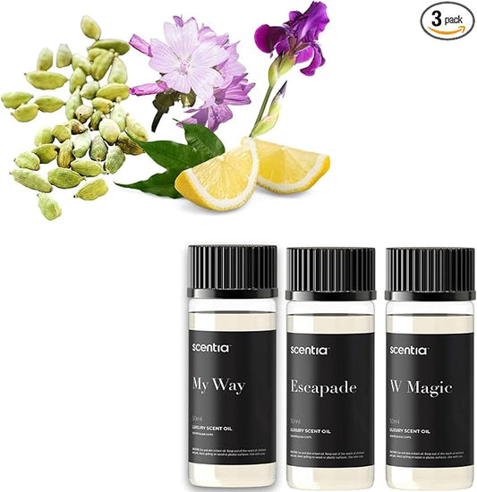 Scentia My Way Hotel Diffuser Oil | Aromatherapy Fragrances Inspired by 5-Star Hotels | Luxurious Scents Gift Box Set - 3 x 50ml - The 1 Hotel Miami Beach, W Magic - Thanksgiving & Holiday Gift - Bloomnest