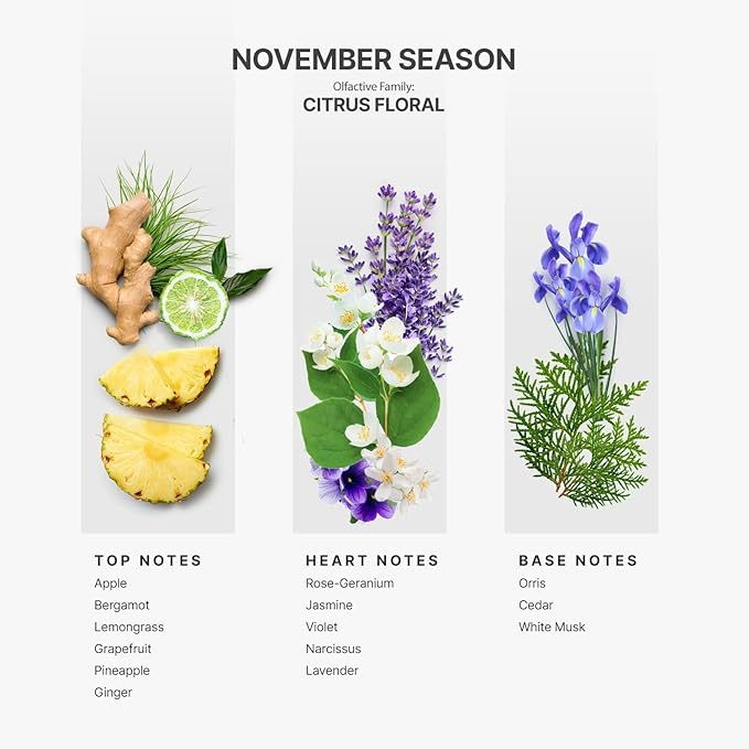 AromaPlan Hotel Scents November Season 5 Fl Oz (148ml), Home Luxury Aroma & Hotel Fragrance Diffuser Oil- Hotel Diffuser Oil for Aromatherapy- USA Made, Bigger Bottle, Bolder Aroma & Longer Lasting - Bloomnest