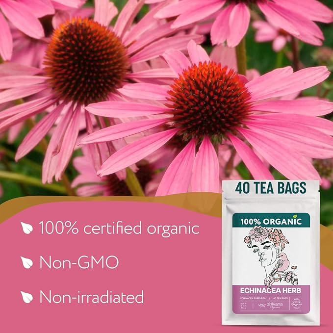 Echinacea Tea Organic (40 Tea Bags) - 100% Pure Natural Immunity Support - Equinacea Organica - Herbal Infusion - Caffeine-Free - Bloomnest