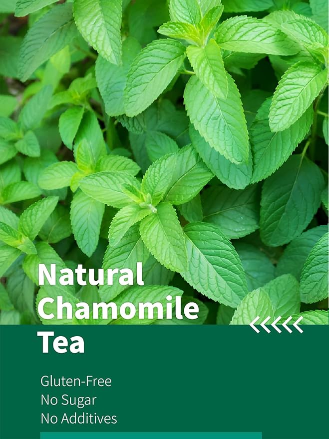 HYNTMYT Peppermint Tea Bags, Natural Peppermint Leaves, Crisp Mint Flavor, Caffeine Free, 100 Count - Bloomnest