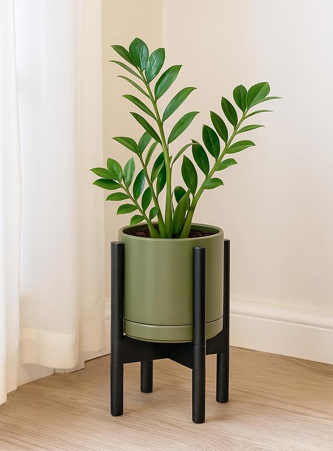 D'vine Dev Ceramic Planter with Ebony Stand - 8 Inch Modern Round Flower Pot with Wood Planter Holder, Olive, 55-B-M-J - Bloomnest