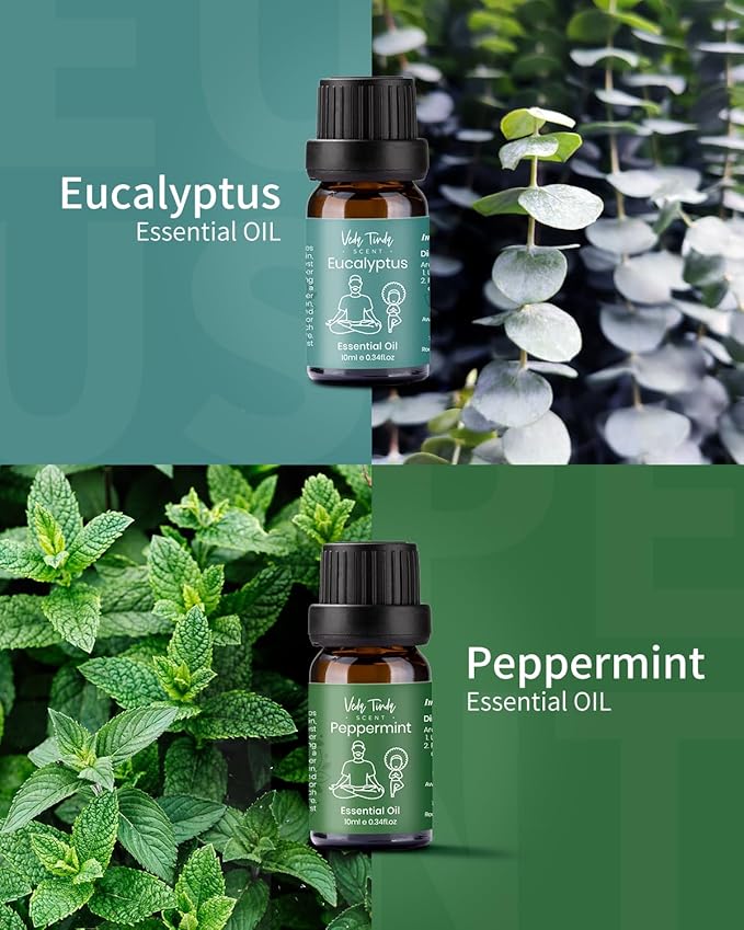 VTS Essential Oils Set (6 x 10ml) - Lavender, Peppermint, Eucalyptus, Tea Tree, Geranium, Rosemary, Aromatherapy Oils Gift Set for Home Diffusers, Skin & Hair Care, Soap & Candle Making, Humidifiers - Bloomnest