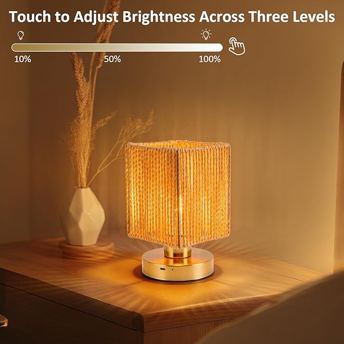 Rattan Table Lamp, 6000mah Battery Operated Table Lamp, Boho Small Desk Lamp, 3 Brightness Dimming for Bedroom Living Room Kids Room Touch Switch, Bulb Included - Bloomnest