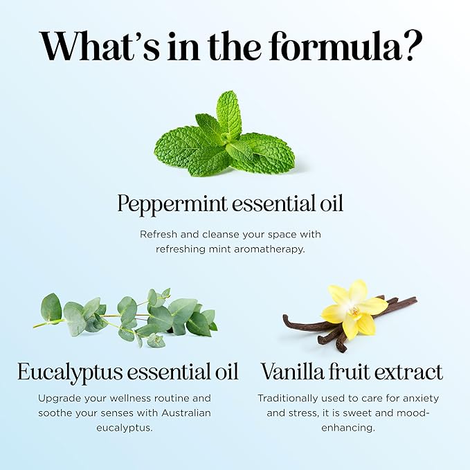 Mint Essential Oil Blend for Diffuser - Refreshing Mint Oil Diffuser Essential Oils with Cooling Peppermint Spearmint Bergamot and Eucalyptus Oils - Pure Aromatherapy Oils for Diffuser - Bloomnest
