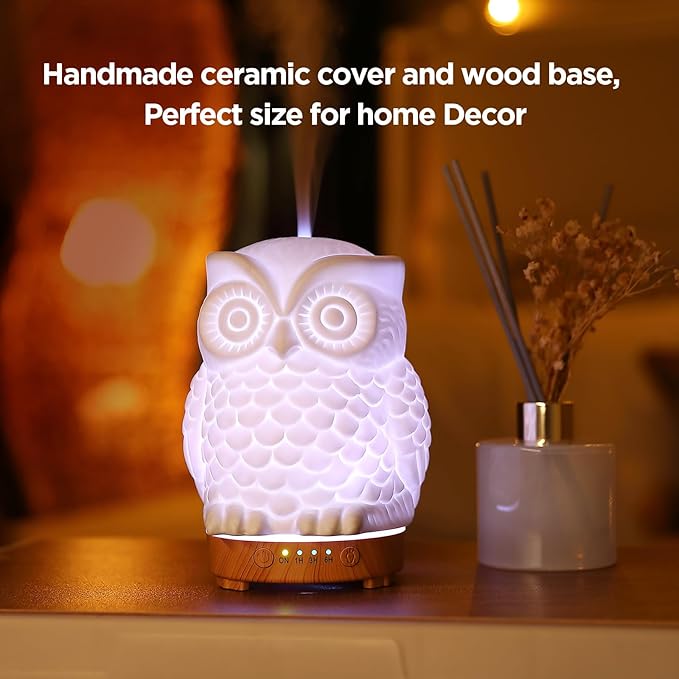 Owl Ceramic Aromatherapy Diffuser INRORANS 160ml Stone ultrasonic Cool Mist Scent Essential Oil Diffuser Humidifier with Intermittent Mist & LED 7 Colors Changing Night Light for Bedroom Office Home - Bloomnest