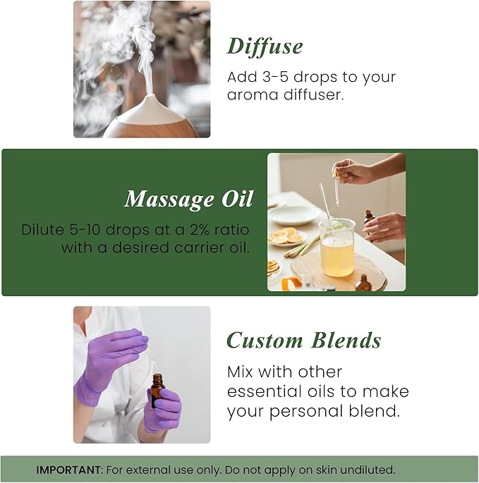 Handcraft Blends Cypress Essential Oil – 1 Fl Oz – 100% Pure and Natural – Premium Grade Essential Oil for Diffuser and Aromatherapy, Skin, Massage, Candle and Soap Making Fragrance - Bloomnest