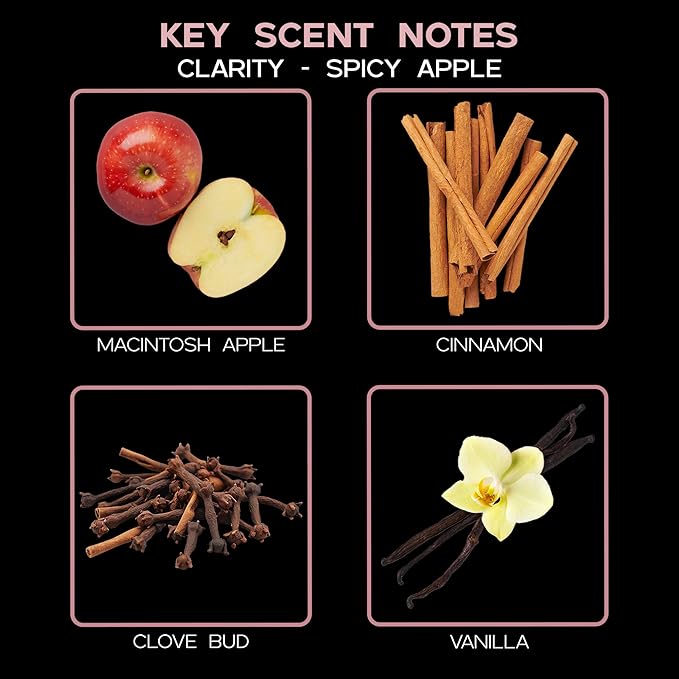 LOVSPA Clarity Spicy Apple Diffuser Oil - Fall Essential Oils for Diffuser Refill & Air Freshener Room Spray - Long-Lasting & Natural Home Fragrance, Scented Oil for Diffusers, USA Made, 4oz - Bloomnest