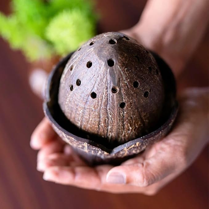 Handmade Coconut Shell DHOOP Stand – Eco-Friendly Natural Incense Holder Charcoal/Cone Burner, Sage Stand, Palo Santo Holder, Ash Catcher for Aromatherapy, Meditation, Yoga, Spiritual - Bloomnest