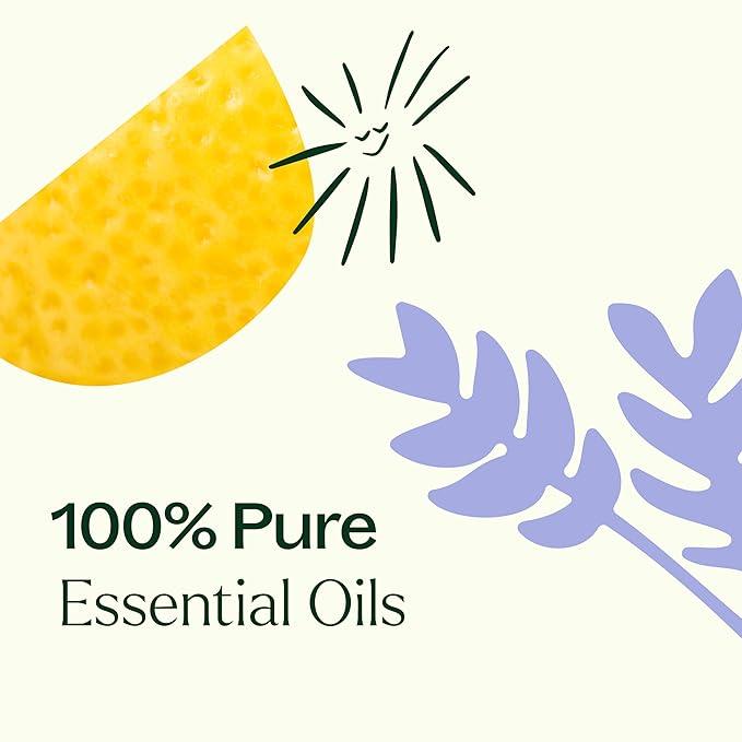 Plant Therapy Top 6 USDA Organic Essential Oil Set - Lavender, Peppermint, Eucalyptus, Lemon, Tea Tree 100% Pure, Natural Aromatherapy, for Diffusion & Topical Use, Therapeutic Grade 10 mL (1/3 oz) - Bloomnest