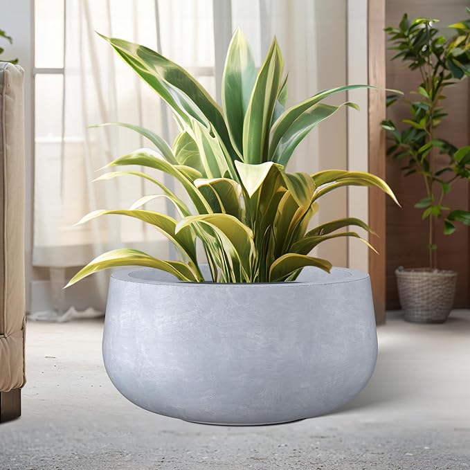 Kante 19.6" Dia Round Concrete Planter, Cement Plant Pots with Drainage Hole and Rubber Plug for Outdoor Indoor Garden Home, Modern Curvaceous Design, Gray - Bloomnest