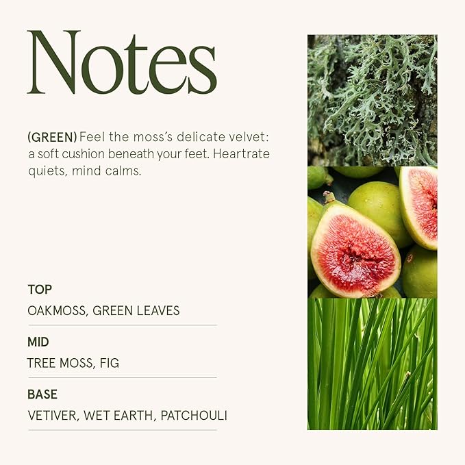 LA JOLIE MUSE Kyoto Vine & Moss Candle - Green Leaves, Tree Moss, Vetiver | 6 oz Natural Soy Wax | 40 Hours Clean Burn | Fresh Scented Candle | Gift-Ready for Hosts & Gatherings - Bloomnest