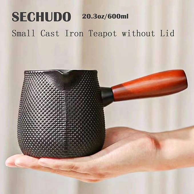 Small Cast Iron Teapot, Japanese Tea Kettle without Lid, 20.3 fl oz Tea Set with Stainless Steel Teacups, Tea Ball for Loose Leaf, Wooden Side-handle Tea Pot for Stovetop Safe(600ml) - Bloomnest