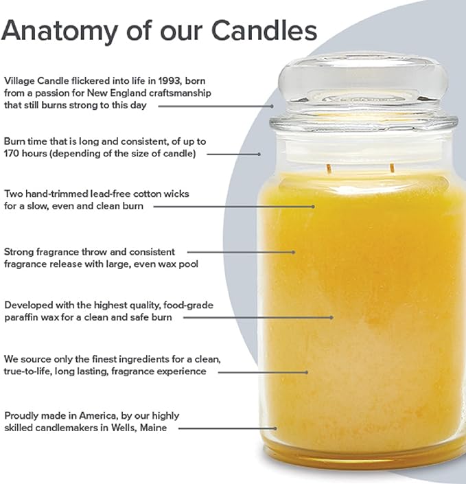 Village Candle Balsam Fir Large Tumbler Glass Jar, Scented Candle, Notes of Evergreen, Bergamot, and Fresh Balsam, 19 oz. - Bloomnest