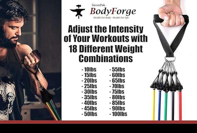 BodyForge Resistance Bands, Exercise Bands, Resistance Bands for Working Out, Work Out Bands with Handles for Men and Women Fitness, Strength Training Home Gym Equipment