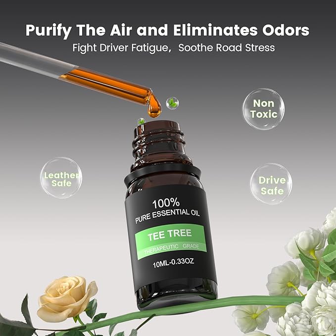 2Pcs Car Air Freshener Vent Clips, Car Diffuser Essential Oils Kit with 5 Different Essential Oils (0.34oz Each) & 12 Refill Sticks, long lasting Cars fragrance for House - Bloomnest