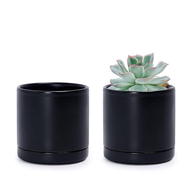 D'vine Dev Set of 2 Plants Pots, 3.5 Inch Ceramic Planter Pot for Plants with Drainage Hole and Saucer, Black, 94-V-A-2 - Bloomnest