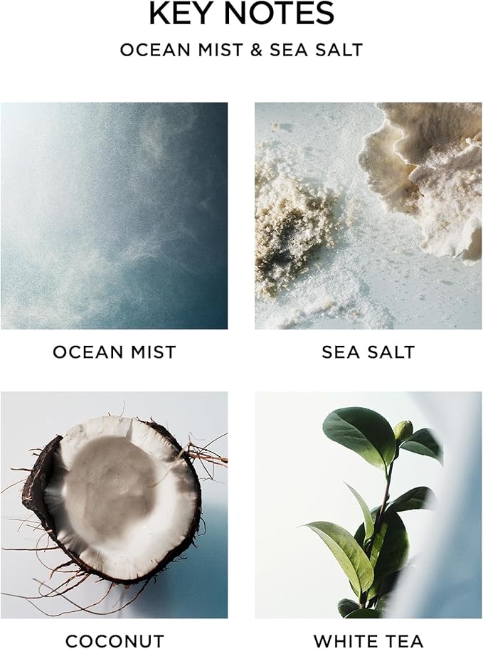 NEST New York Scented 3-Wick Candle, Ocean Mist & Sea Salt - 21.2 oz - Up to 100-Hour Burn Time - Reusable Glass Vessel - Bloomnest