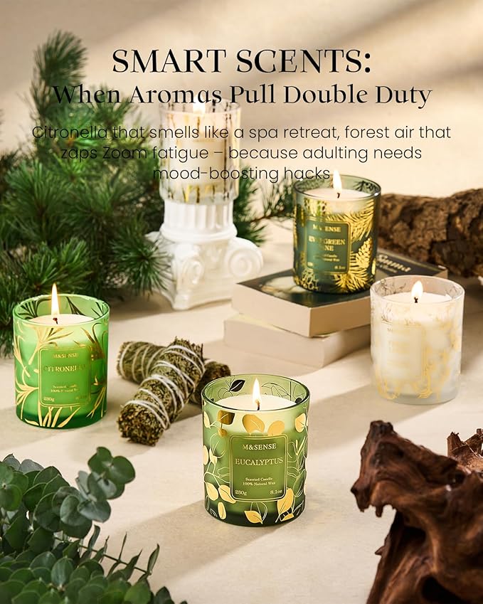 M&SENSE Eucalyptus Candles,Vegan Soy,8.1oz 42-Hour Slow Burning Time, Scented Candles for Relaxing Calming, Fall Winter Thanksgiving Christmas Housewarming Gifts for Women & Men - Bloomnest
