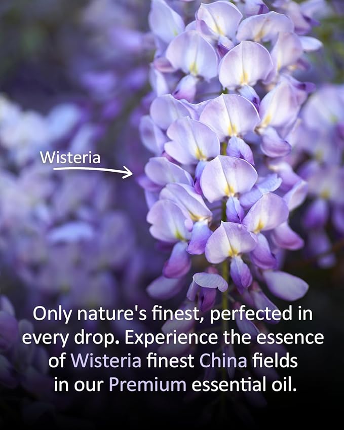 Wisteria Essential Oil 4 fl oz, 100% Pure Floral Oil for Diffusers and Home Use, Light Sweet Green Floral Aroma for Candle and Soap Making, DIY Projects, Massage Dilution, Natural Scent Airoomoil