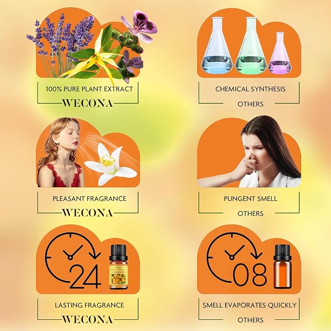 Citrus Essential Oils Set for Diffuser - 6x10ml Aromatherapy Oils Including Bergamot, Lemon, Grapefruit, Lime, Lemongrass, and Citrus Bloom - Essential Oils for Diffuser Use at Home or Office - Bloomnest