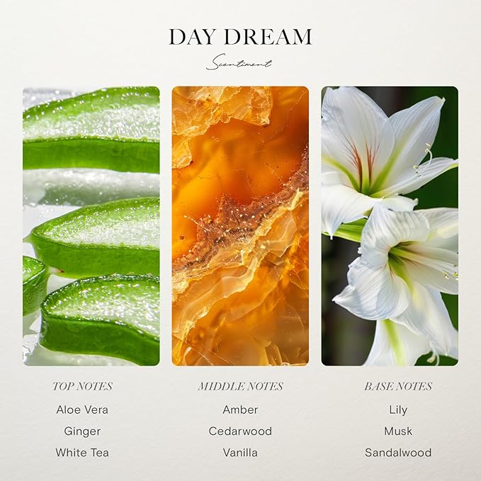 Scentiment Day Dream Fragrance Oil – Aloe Vera, Cedar, White Tea Scent for Diffusers, Aromatherapy Oil (500 mL) Scentiment