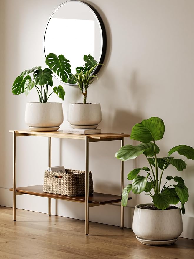 LE TAUCI 12 Inch Pots for Plants, Ceramic Planter with Drainage Hole & Saucer, Thick-Walled Ceramic, Planters for Indoor Plants, Ideal for Living Room & Entryway, Reactive Glaze Beige - Bloomnest