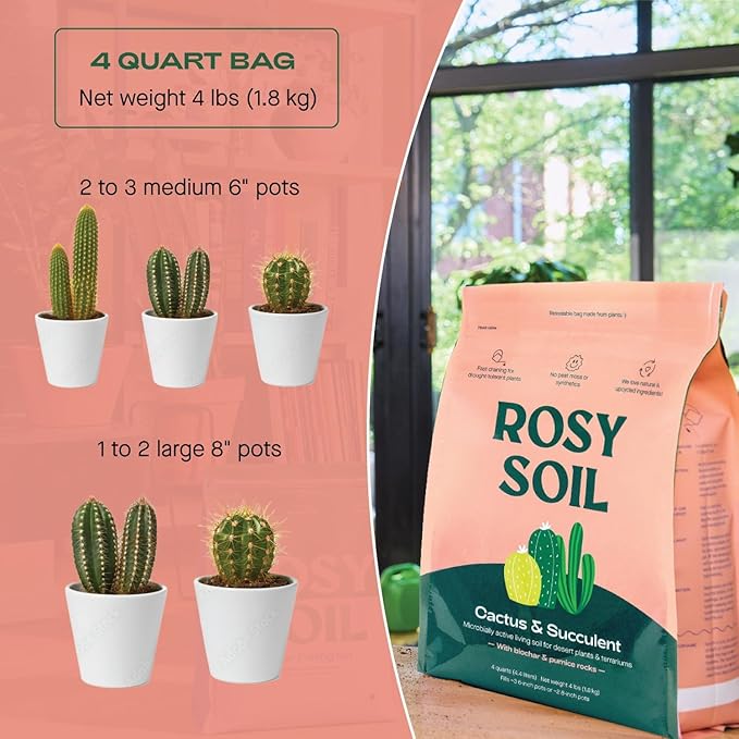 Cactus and Succulent Organic Potting Soil Mix for House Plants - Fast Draining, Root Boosting, Peat-Free, Less Prone to Gnats - Drought-Tolerant - Growth of Aloe Vera, Cacti and Indoor Succulents- 4qt - Bloomnest