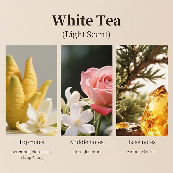 White Tea Scent Aroma Diffuser Refill,Natural Essential Oil Blend,Bulk Bottle for Home,Hotel,500ml (16.9fl oz) Hijoc