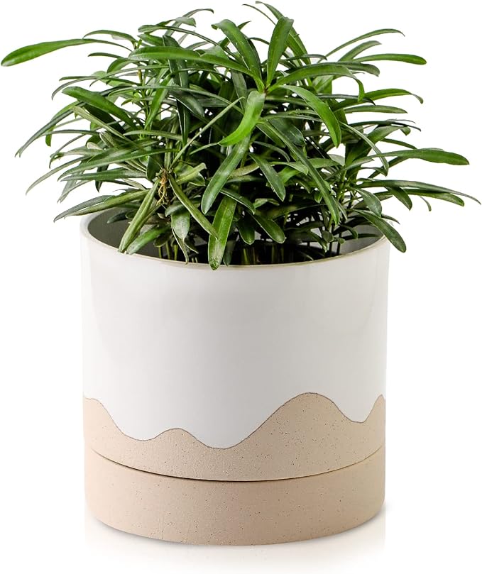 Nihow Ceramic Plant Pot: 6 Inch Planter with Drainage Hole & Saucer for Indoor & Outdoor Plants - Cylinder Round Flower Pot for Succulent/Herbs/Violets - White & Nature - Bloomnest