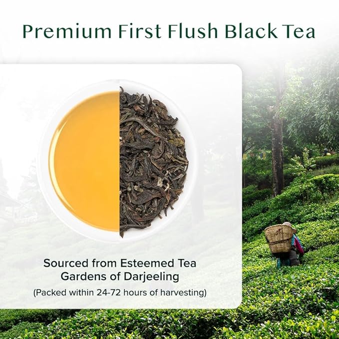 VAHDAM, First Flush Darjeeling Tea - 170+ Cups (340g/12oz) Loose Leaf Black Tea - Flowery, Aromatic & Delicious | Mellow & Fragrant | Vacuum Sealed Pack - Bloomnest