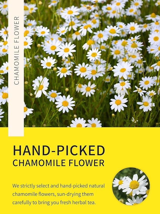 TeeLux Chamomile Tea Bags, 1.5g/bag, Pure Natural Chamomile Flowers Herbal Tea, Caffeine Free, 100 Count - Bloomnest