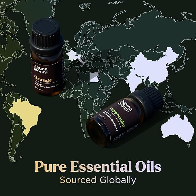 Essential Oils Set - 16 Pcs Premium Grade Home Essentials Oils - for Diffusers, Fragrance, Scents for Candle Making - Natural Aromatherapy Oils for Cars & Home Products, Room Sprays - Bloomnest