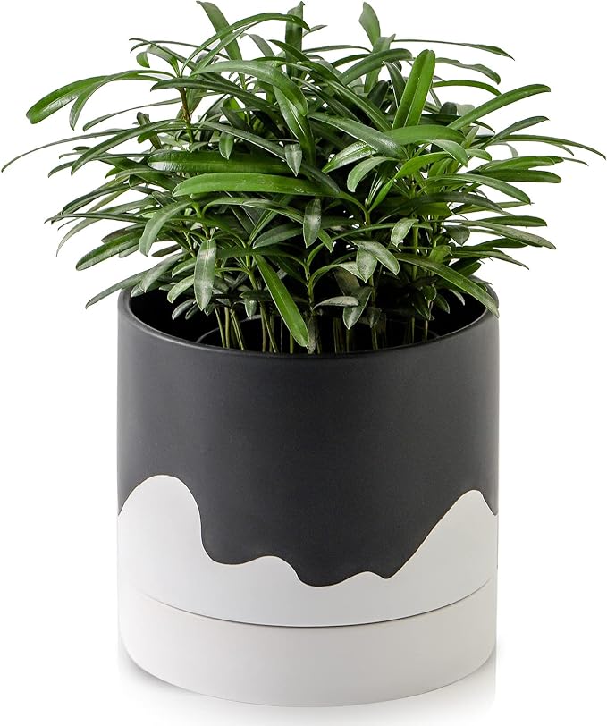 Nihow Ceramic Plant Pot: 6 Inch Planter with Drainage Hole & Saucer for Indoor & Outdoor Plants - Cylinder Round Flower Pot for Succulent/Herbs/Violets - Black & Wave White - Bloomnest