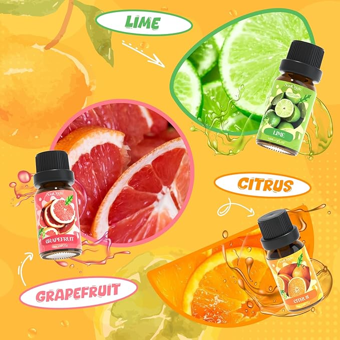 Citrus Essential Oils Set, Fragrance Oil Set for Diffuser, Scent Diffuser Oil for Candle Making- Blood Orange, Lemon, Bergamot, Lime, Grapefruit, Citrus - Bloomnest
