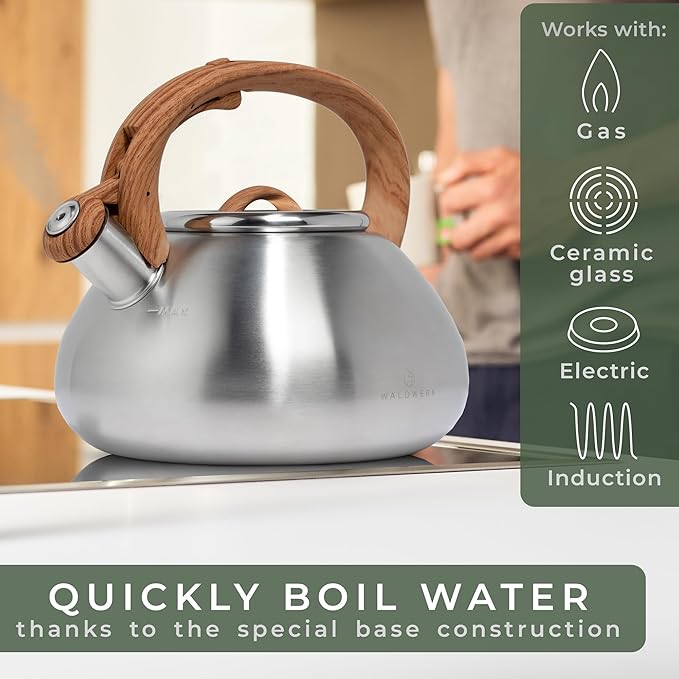 WALDWERK Tea Kettle Stovetop (2.4 Quart) - Teapot for Stovetop - also for Induction and Gas Stoves - Stainless Steel Tea Kettle - Whistling Tea Kettle for Stove Top - Bloomnest