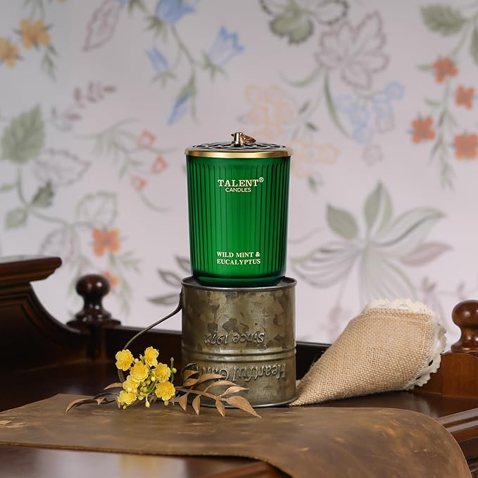 Jar Candles for Home Scented, Aromatherapy Candles Gifts for Women & Men, Natural Soy Candle, 8.4oz Traditional Style, Wild Mint & Eucalyptus - Bloomnest