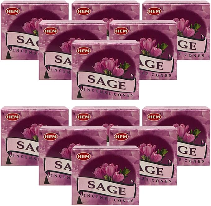 Sage Incense Cones And Cone Incense Burner Bundle Insence Insense Hem Incense TRUMIRI