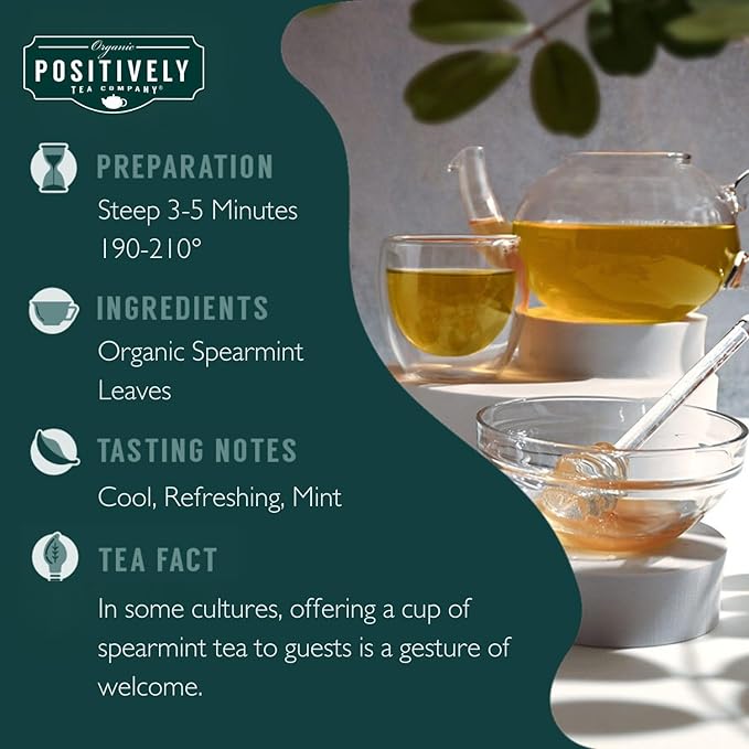 Organic Positively Tea Company, Spearmint Leaf Herbal Tea Bags, 100 Count, Eco-Friendly Tea Bags, Non-GMO - Bloomnest