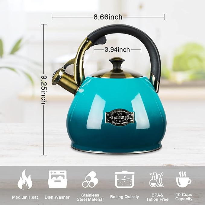 Tea Kettle Stovetop Whistling Kettle Teapot, 3Quart Tea Pot Stainless Steel Teakettle for Stove Top with Heat Proof Ergonomic Handle - Bloomnest